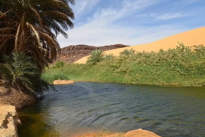 A Mauritanian oasis: a water resource to preserve
